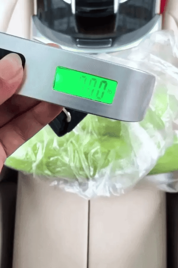Digital Luggage Scale, Up to 110LB (50 kg) with Tare Function