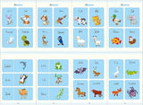 Magic Copybook Set, Reusable Arabic Handwriting Practice Books
