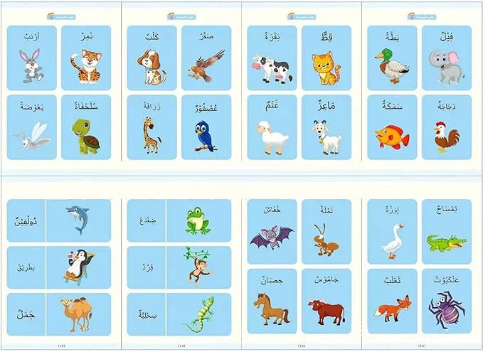 Magic Copybook Set, Reusable Arabic Handwriting Practice Books