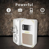 Honton Quran Speaker SQ669, Bluetooth, USB & Remote Control