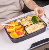 Stainless Steel Lunch Box, Leak-Proof Multi-Compartment Bento Box